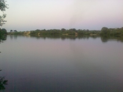 20052010074.jpg