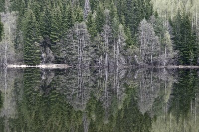 _MG_1692.jpg