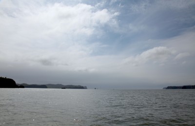 IMG_8562.jpg