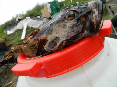 DSCN0513.jpg