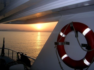 DSCN4782.jpg