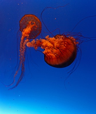 IMG_7716_DxO_RAW.jpg