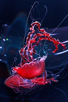 IMG_7860_DxO_RAW.jpg