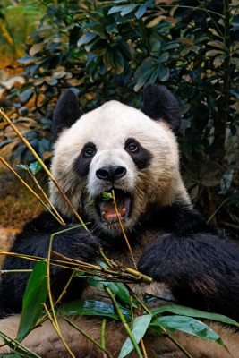 IMG_7598_DxO_RAW.jpg