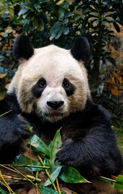 IMG_7600_DxO_RAW.jpg