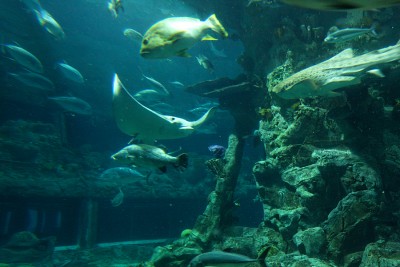 IMG_7678_DxO_RAW.jpg