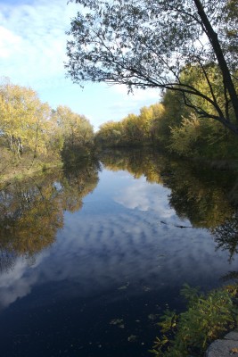 DSC_2630.jpg