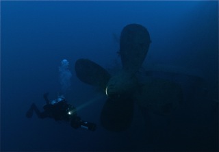 IMG_8481.jpg
