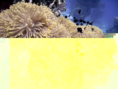 IMAG0042.jpg