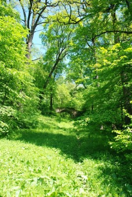 DSC_0270.jpg