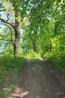 DSC_0209.jpg